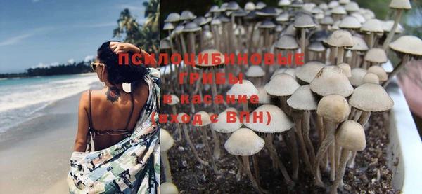 эйфоретик Арсеньев