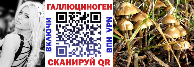 Псилоцибиновые грибы GOLDEN TEACHER  Туринск 